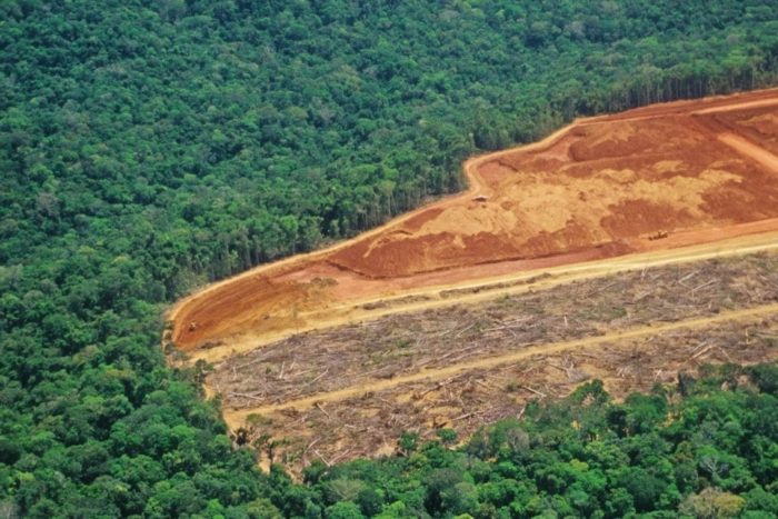 Protecting the Amazon Rainforest: A Regional Governance Challenge with Global Implications