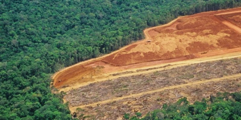 Protecting the Amazon Rainforest: A Regional Governance Challenge with Global Implications